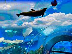 -泉城欧乐堡海洋极地世界