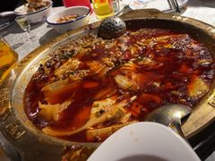-重庆火锅水库鱼庄(南油店)