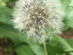 -广州神农草堂中医药博物馆