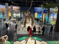 -国家自然博物馆