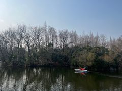 -上海滨江森林公园