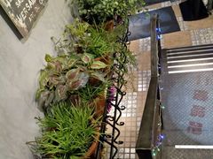 -云晓光头烧烤吧(川沙绿地店)