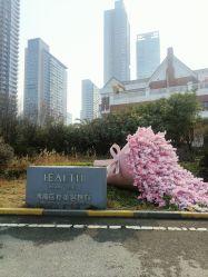 -禾丽康美医疗美容医院