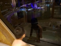 -新加坡丽思卡尔顿美年酒店