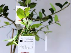 -Oasis coffee燕谷咖啡(公信店)