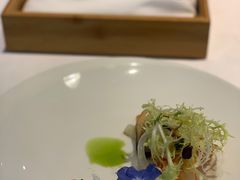 -蝶舍·MAISON PAPILLON