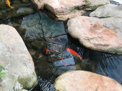 -大东方海鲜酒楼(小武基桥店)