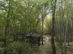 -虞山风景区