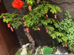 -俏东方·海味水饺·青岛菜(崂山店)