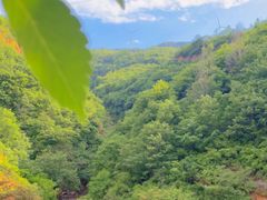 -伏羲山旅游区