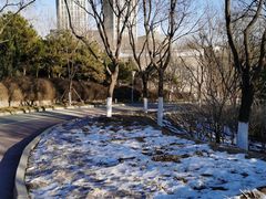 -滨河世纪广场公园