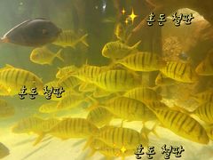 -苏州海洋馆