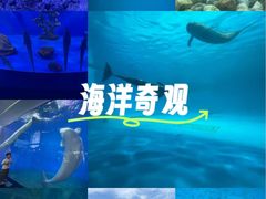 -泉城欧乐堡海洋极地世界