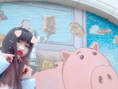 景点-上海迪士尼度假区