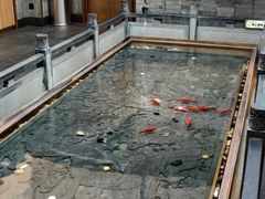 -四季民福烤鸭店(前门店)