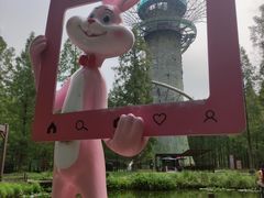 -黄海国家森林公园