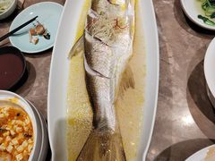 -苏帮袁Sue Cuisine(南开大悦城店)