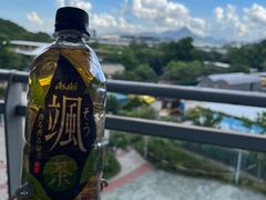 -昂坪360缆车