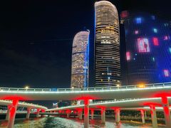 -演武大桥观景平台