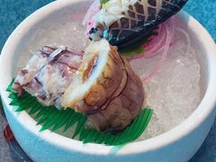 -诺莱仕游艇会