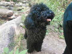 -碓臼峪自然风景区