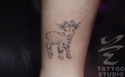 -见雾TATTOO STUDIO