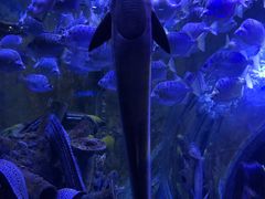 -成都浩海立方海洋公园