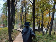 -吉林市朱雀山国家森林公园