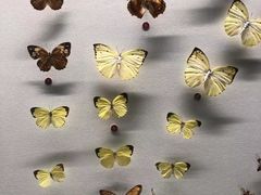 -香港科学馆