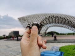 -南汇嘴观海公园