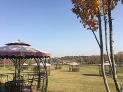 -南京枫彩漫城