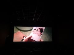 -首都电影院(金融街店 杜比全景声)