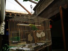 -束河人家(南锣鼓巷店)