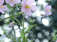 -长广溪湿地公园