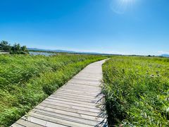 -野鸭湖国家湿地公园