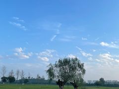 -汉长安城未央宫国家考古遗址公园