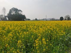 -蜀绣公园