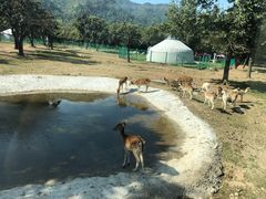-西安秦岭野生动物园