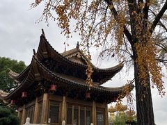 -上海东林寺(金山区)