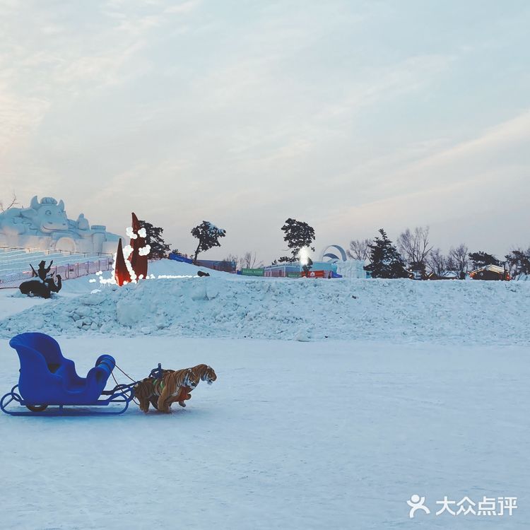 踩雪看冰雕滑个雪才是冬天正确的打开方式