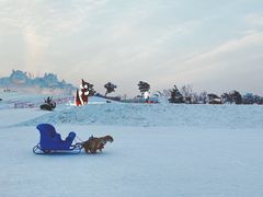 -长春世界雕塑园冰雪艺术天地