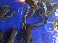 -无锡苏宁银河国际酒店-悦府65中餐厅
