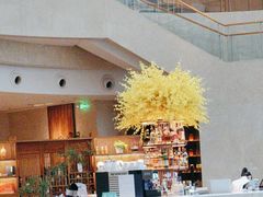 -Plush大堂酒廊(北京金融街威斯汀大酒店)