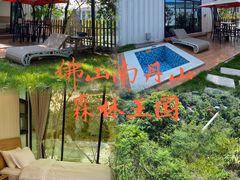-南丹山森林王国