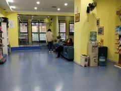 -瑞鹏宠物医院·爱宠堂·骨外专科(西荷分院)