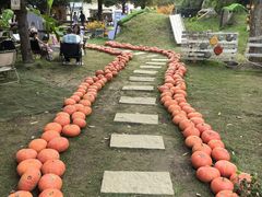 -HERRE·FARM 赫尔露营农场·团建聚会包场