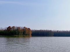 -上海海湾国家森林公园