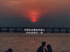 -宝安西湾红树林湿地公园