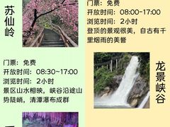 -仰天湖大草原