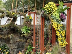 -杭州植物园